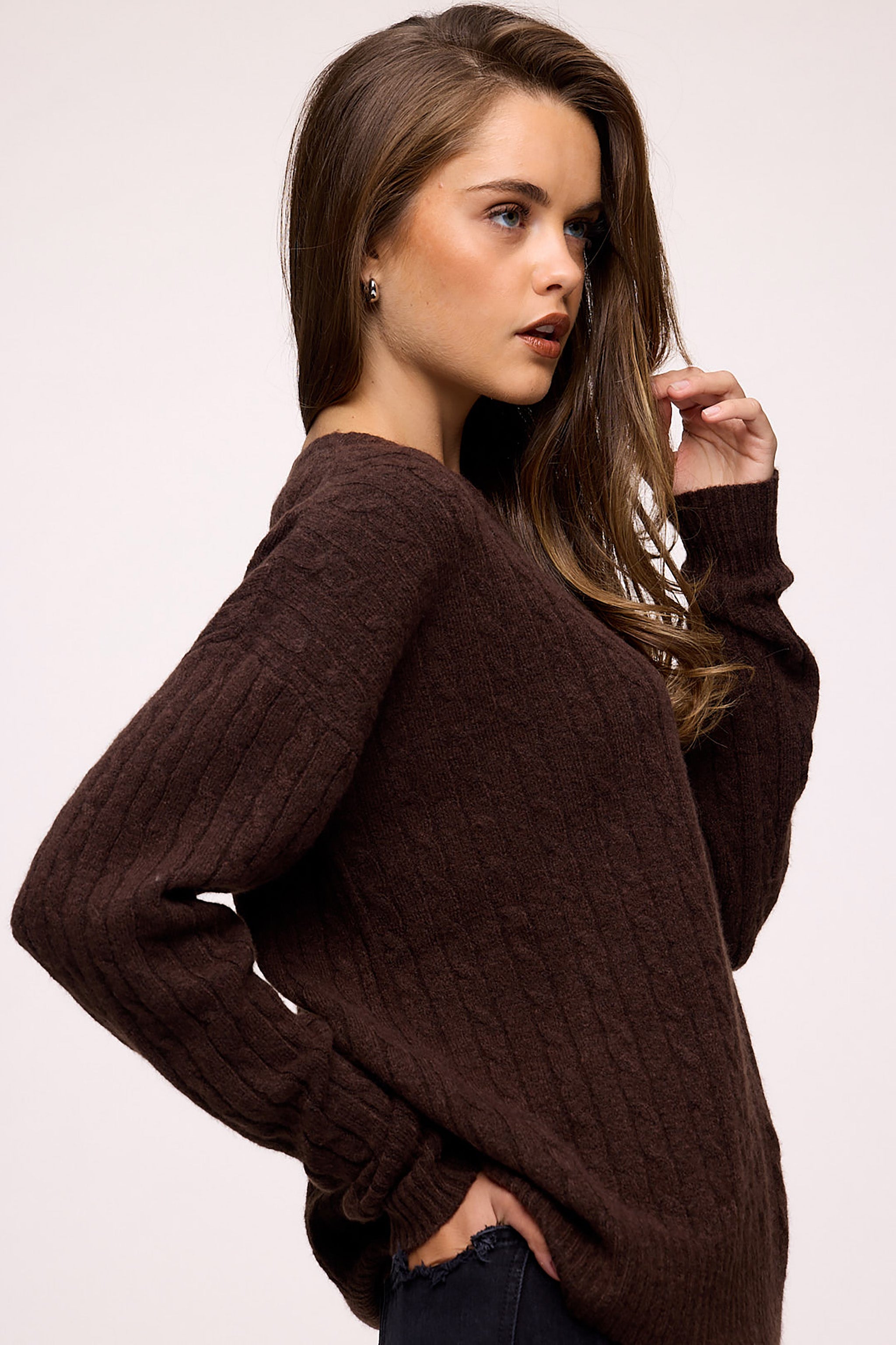 Cozy Knit Cable Crewneck Sweater