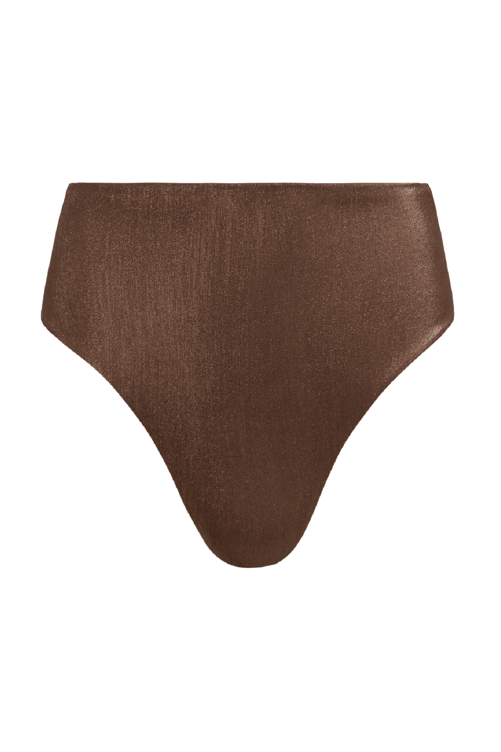 Shimmer High Waist Bikini Bottom