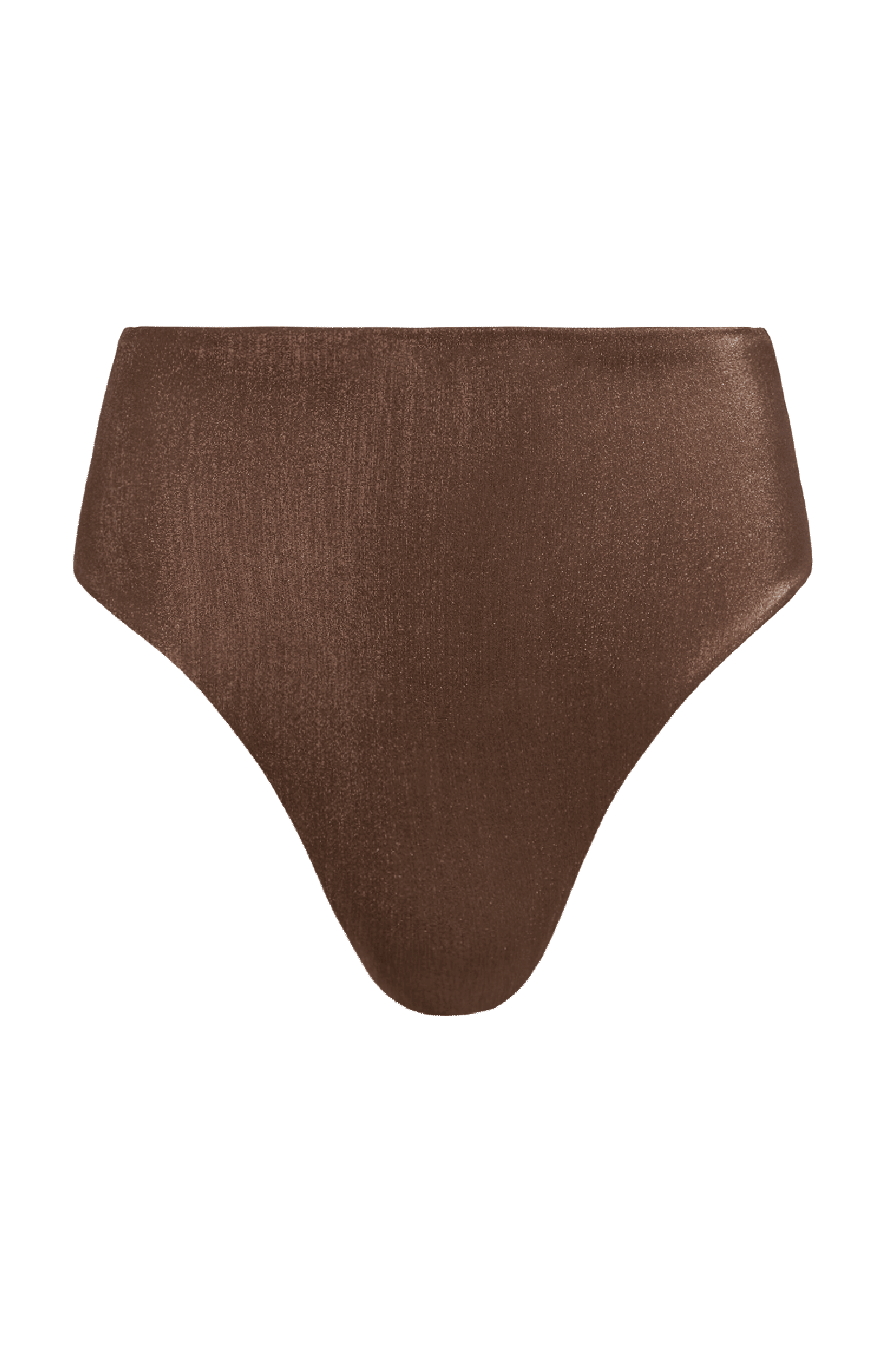 Shimmer High Waist Bikini Bottom