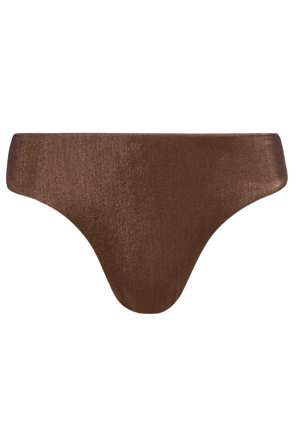 Shimmer Low Waist Bikini Bottom