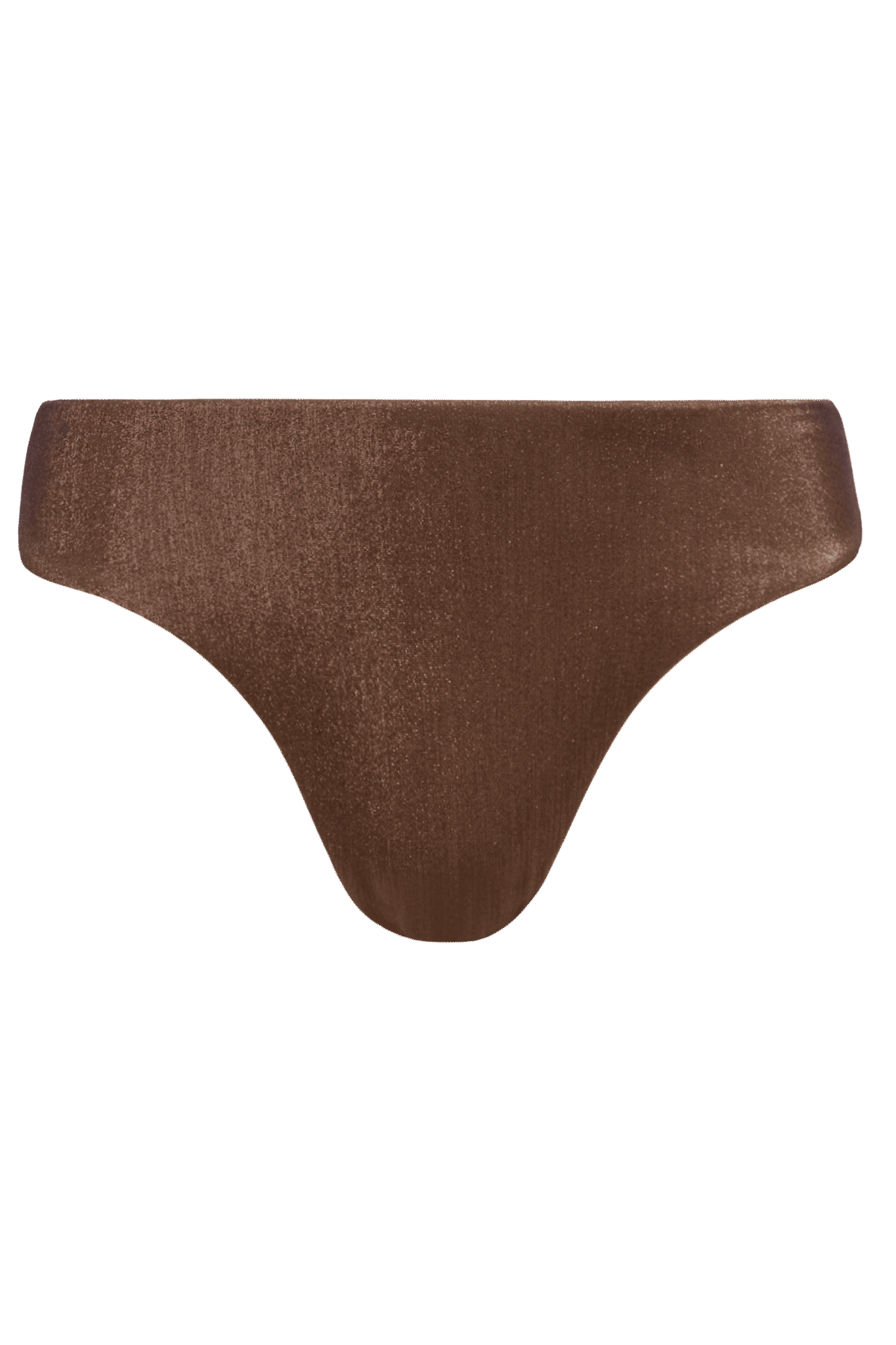 Shimmer Low Waist Bikini Bottom