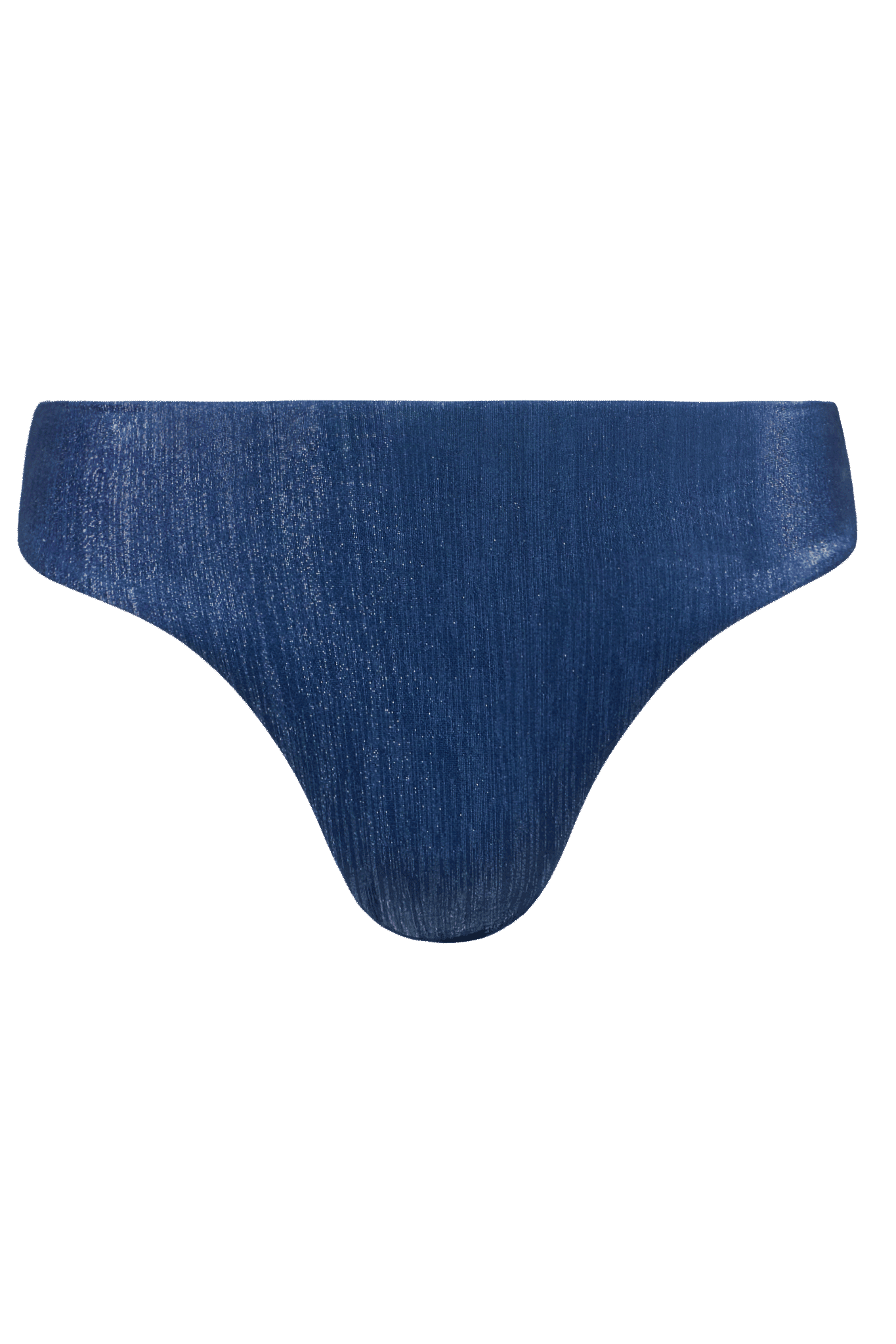 Shimmer Low Waist Bikini Bottom