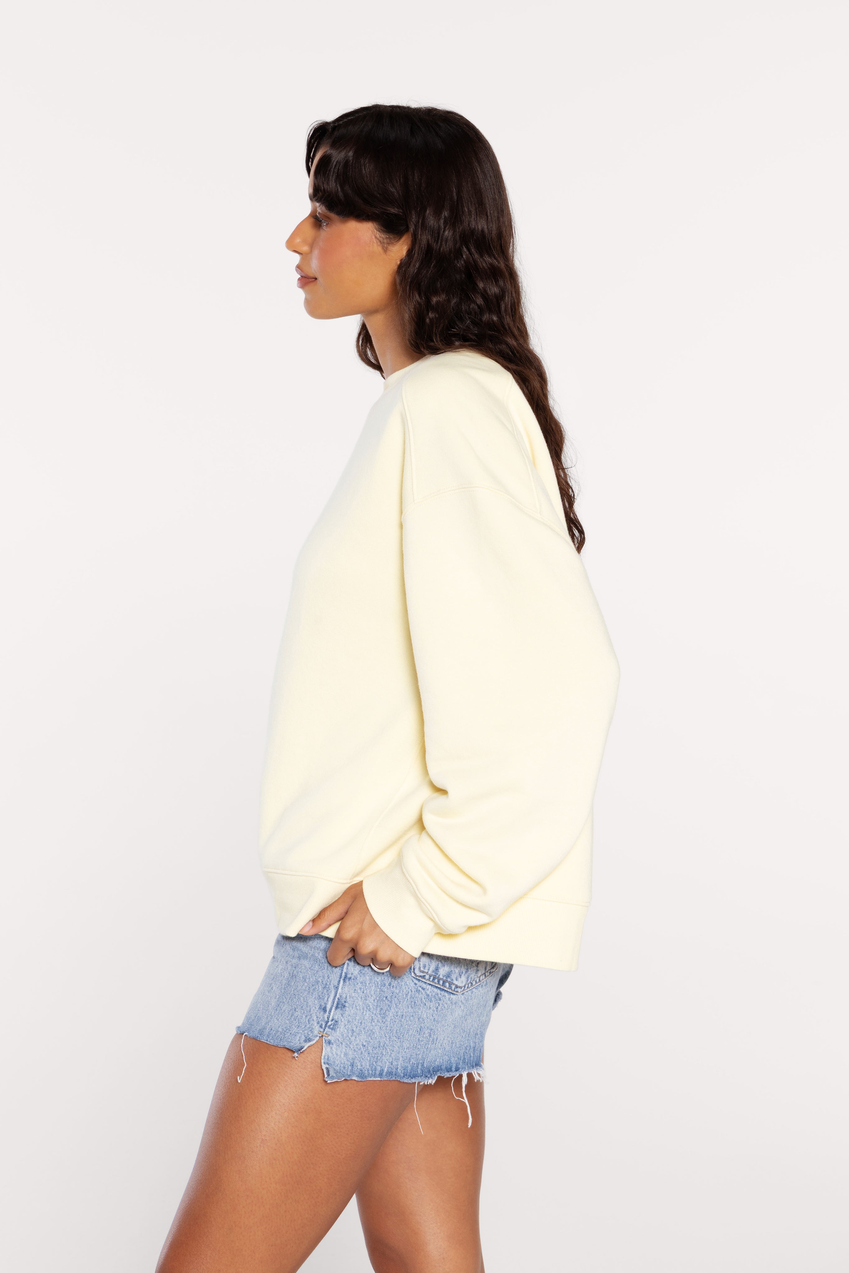 Vintage Fleece Oversized Boxy Crewneck Sweatshirt